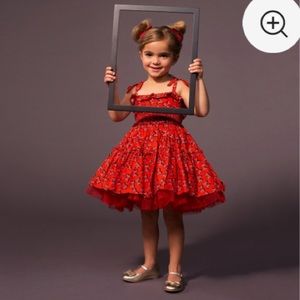 Authentic Minnie Disney TUTU Corset Costume Dress